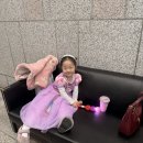 군포문화예술회관 철쭉홀 | 군포문화예술회관 철쭉홀 어린이뮤지컬 라푼젤 관람후기