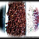 017-문산-017 이미지