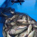 하와이낚시터 이미지