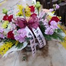 양덕동384 이미지