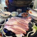 열날개 이미지