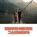 강진-18 | 강진 가우도 출렁다리, 걷기만 해도 힐링이 되는 섬 여행