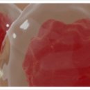 (주)엑셀바이오 이미지