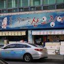 홀딱삐낀산오징어