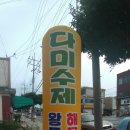 다미짬뽕 이미지