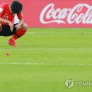 우크라이나 이미지
