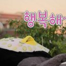 와플칸 이미지