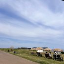 해일리 풀앤스파 | 제주 성산 오션뷰 숙소 해일리 풀앤스파 호텔 후기