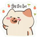 양갱사진관