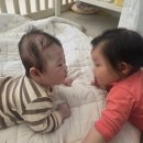 아이들의꿈재활의원 | 아기두상헬멧 보험, 가격/착용기간 후기 아이사랑두 추천인할인제가드리는 선물도받아가세요!!!