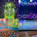 대장경테마파크 | 경남 합천 가볼 만한 곳으로 추천 대장경테마파크 미디어아트 및 VR과 5D체험관