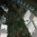 부천터미널소풍 이미지