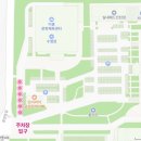 이충 레포츠내부도로 | 평택 벚꽃 명소 끝판왕ㅣ은혜로 만개 상황 (주차·포토존 총정리)