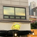 [스마일버터] 남양주 애견 운동장 추천
