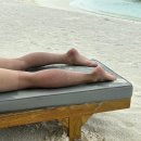 [몰디브 신행 7] 몰디브 물놀이 꿀 템 추천/에메랄드 파루푸시 스파 가격, 후기/돌핀 투어 후기