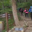 제197차 경북 봉화 청량산 산행공지 이미지