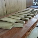 시각장애인탁구 이미지