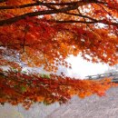 물레방아농장2 이미지