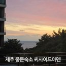 아덴 | 제주도 중문 숙소 씨사이드아덴 숙박 후기