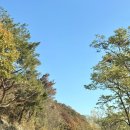 내돈내산 남양주 북한강카페 아유스페이스 n번째 방문 후기