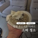 오수 | 창원 소파청소 성주동 고객님이 얼룩 없는 베이지 소파에서 시커먼 오수 뽑아낸 후기