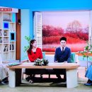 대구결혼정보 이미지