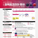 퍼펙트투어 Daum카페