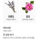 [러쉬] 25.3월 시크릿박스 🎁 / 봄을 준비하는 피부/ 언박싱.내돈내산 후기🥰