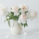 가교행정사 이미지