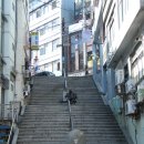 40계단 기념비 Daum카페