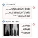 카이저 동물병원 이미지