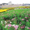 영산포홍어거리(공연장) 이미지