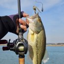 (주)미트맥스 사천점 | [전라남도권] #194 런커 배스는 도대체 어디에! 따뜻하다 못해 더워지고 있는 날씨 속 전라남도 영암권...