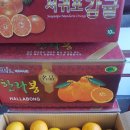 한라봉브로콜리 이미지