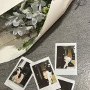 스테이숑 이미지