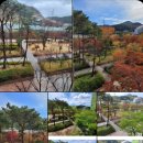 마린애시앙단지내 부동산중개 | 월영마린애시앙 123동 저층 매매 공원 및 고운초 옆 막힘없는 선호동
