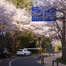 정명농장 이미지