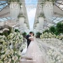 W. 결혼준비 | 더링크호텔 베일리홀 본식스냅 비비비엔 후기
