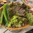 뚜껑집(영대점) 이미지