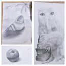 토요 뎃생&수채화 (중급) 이미지