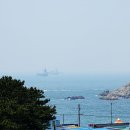 대숲여행 이미지