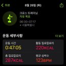 솔고은 이미지