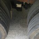 유로메가 이미지