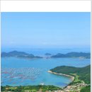 완도주유소 이미지