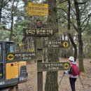 싸리골약수터 이미지