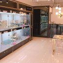 천안고양이 분양 퍼스트캣 본점 이미지