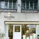 구미 금오산 꽃집 미니 꽃다발 선물 추천 아우첼라플라워