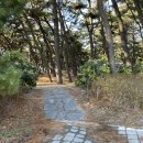 송림평생학습관 이미지