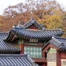 비원