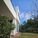 제주하와이 덕수궁 이미지